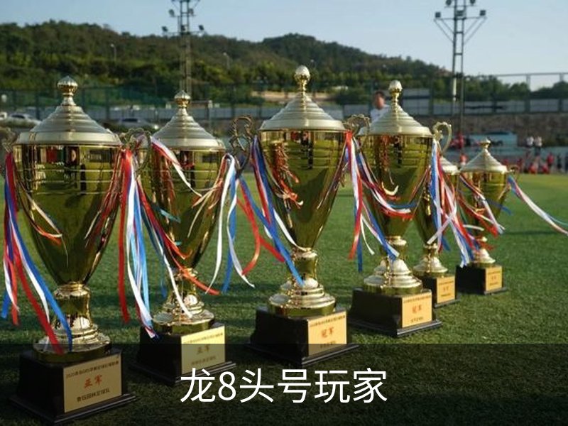龙8头号玩家简介